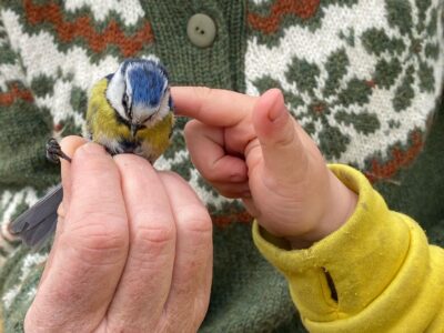 Ringmerking dokkadeltaet naturopplevelse barnehånd fugl
