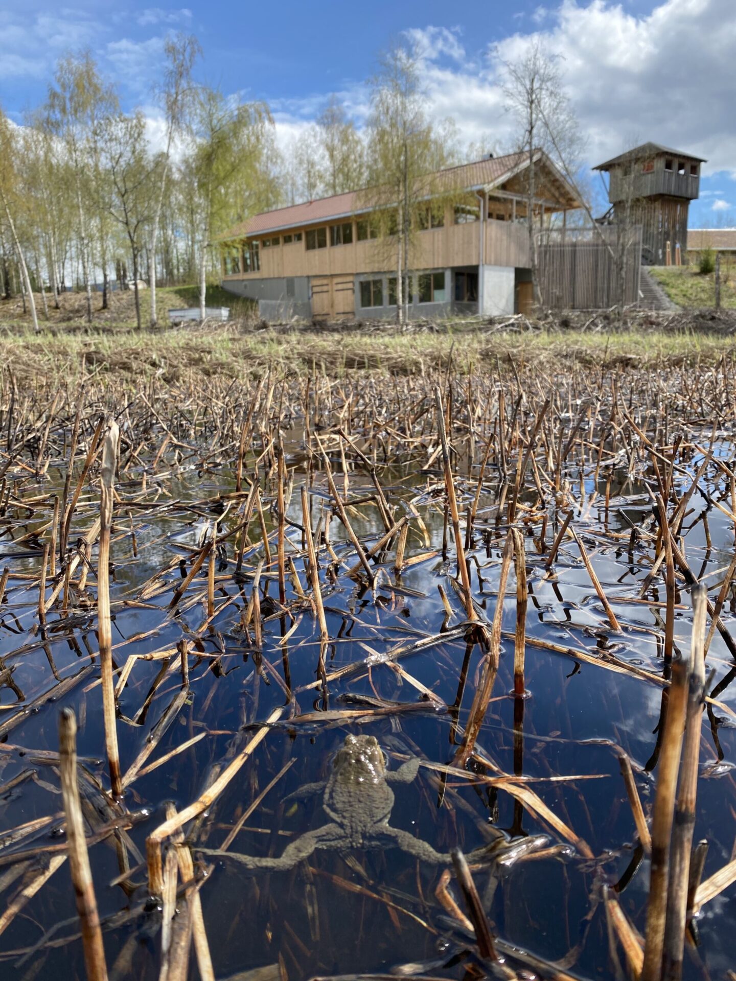 padde våtmarkssenteret odnes